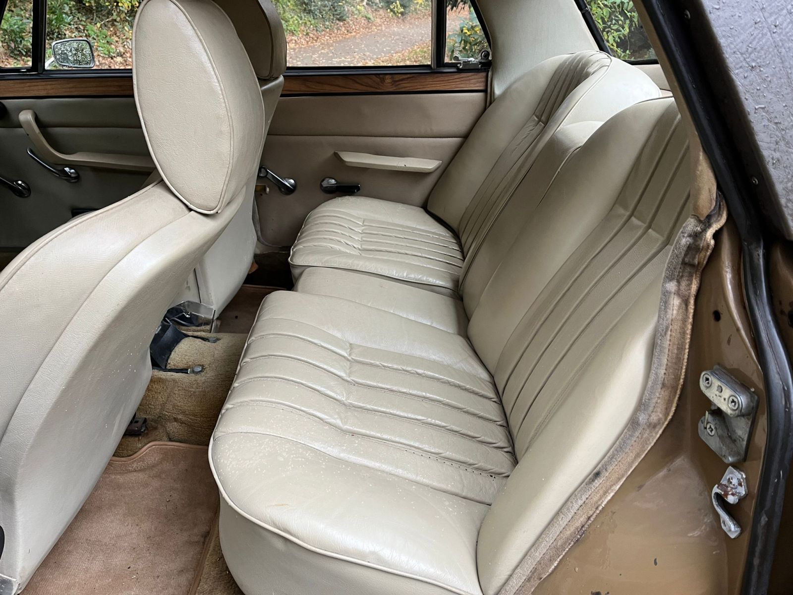 b7abec53-6891-4649-9f3f-babca6bf00a8