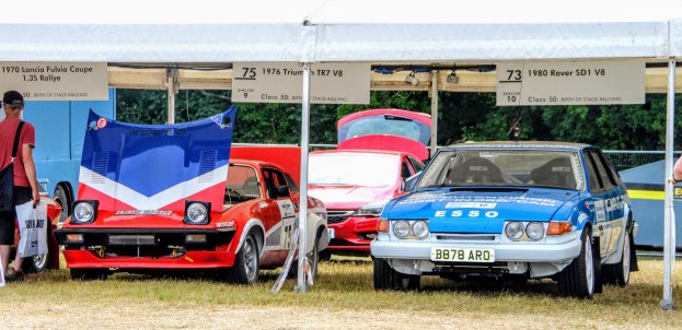 GOODWOOD Festival of Speed : The Forest Rally Stage