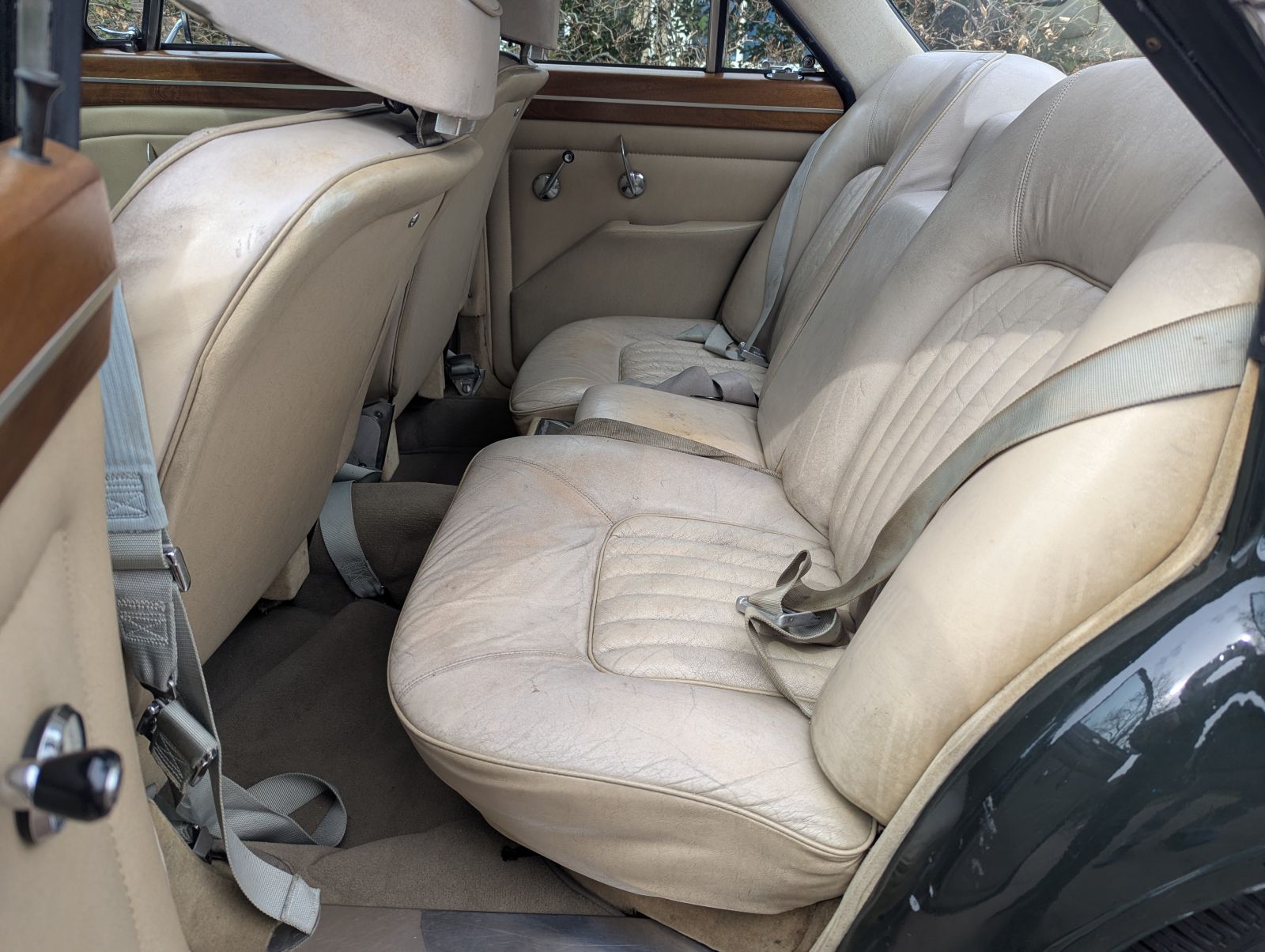 rover  (16)