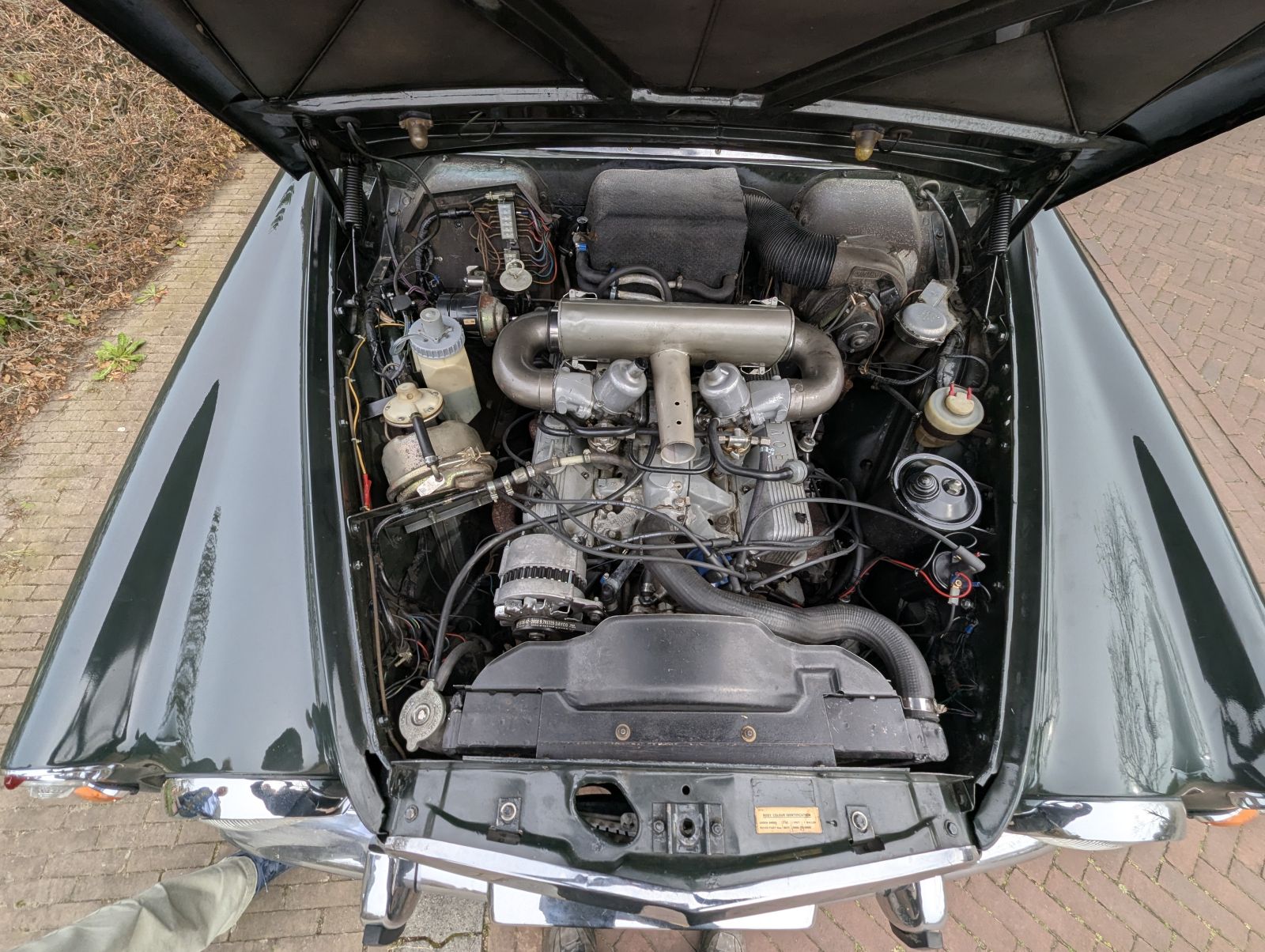 rover  (20)