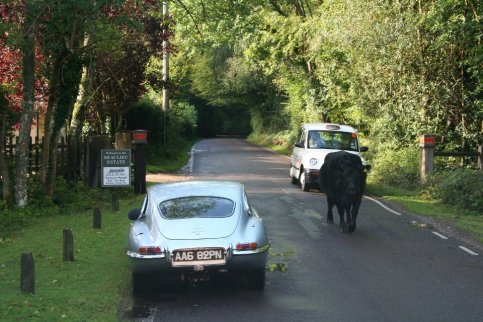 foto's Beaulieu 2011 ONLINE !!